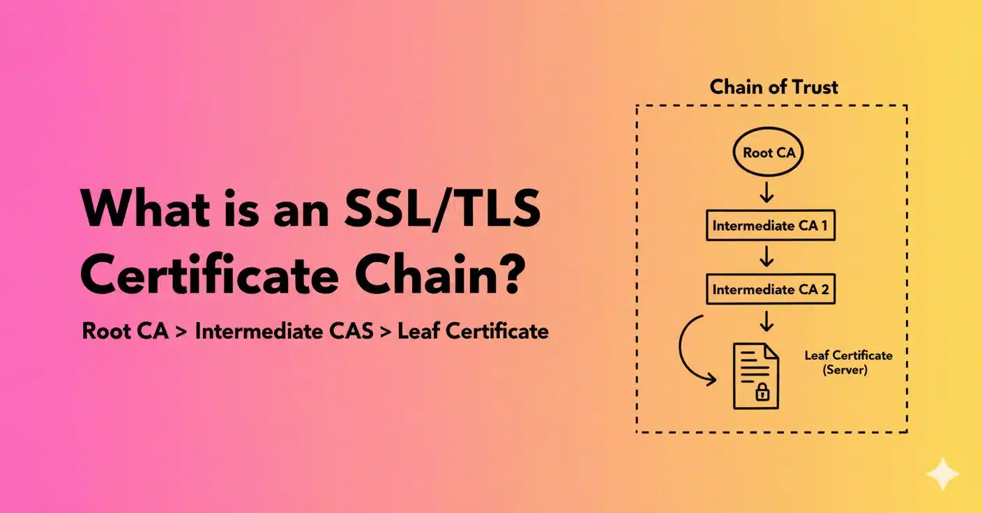 What is SSL/TLS Certificate Chain ?