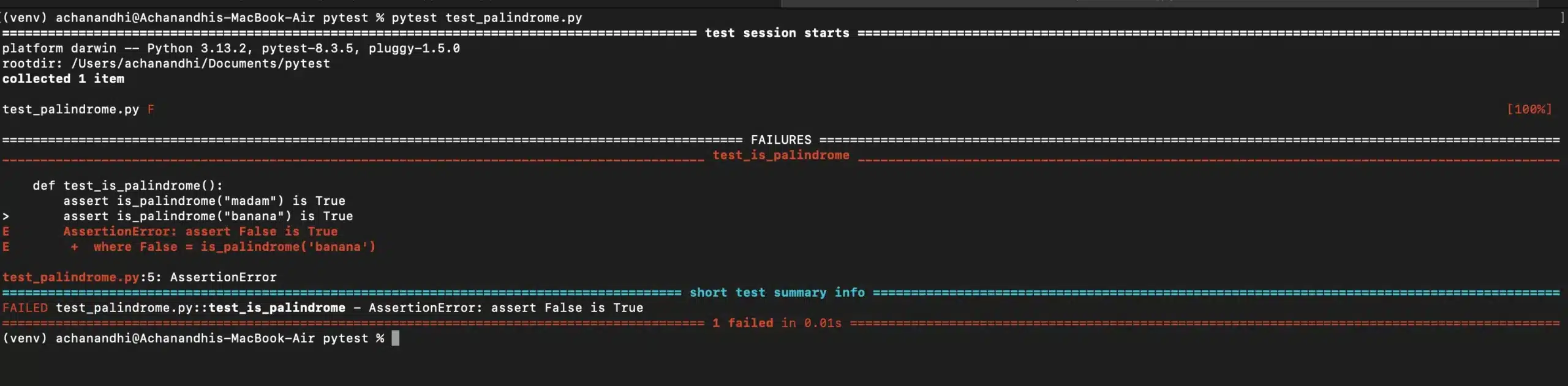How to run specific pytest file