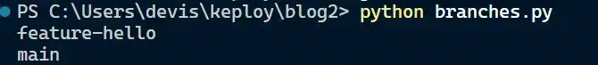 Output listing the branch names through list_branches()