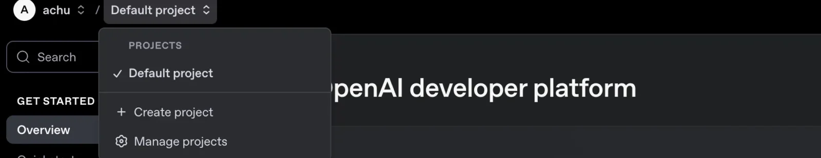 OpenAI Default Project