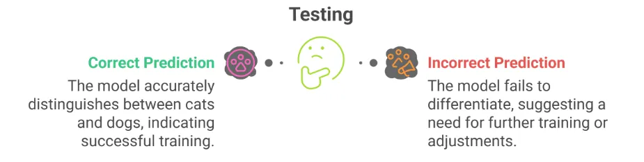 testing