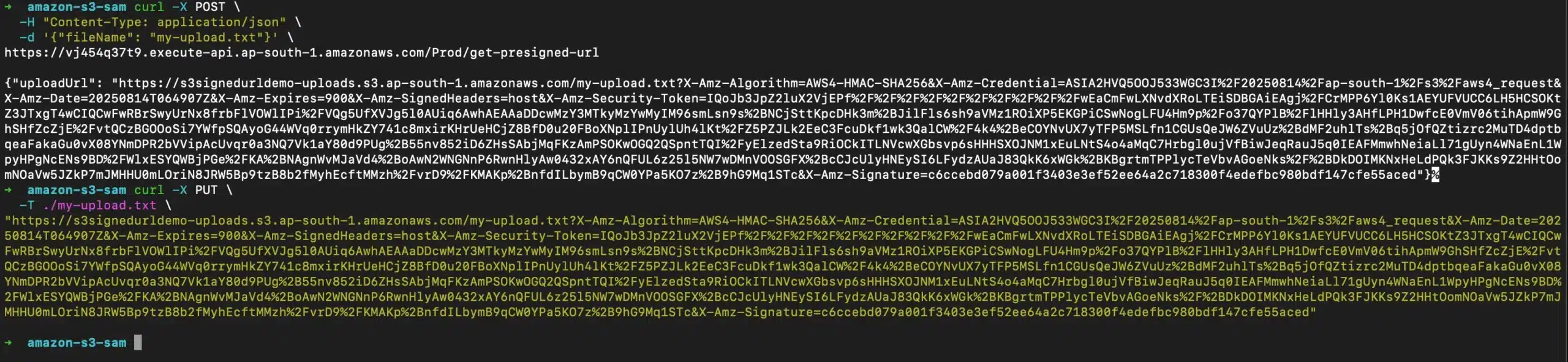 S3 Output