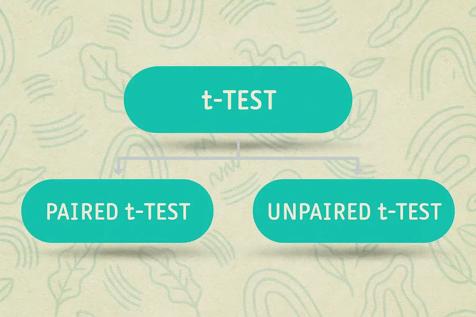 Paired vs Unpaired Test: Definition, Formula, Examples, and Key Differences